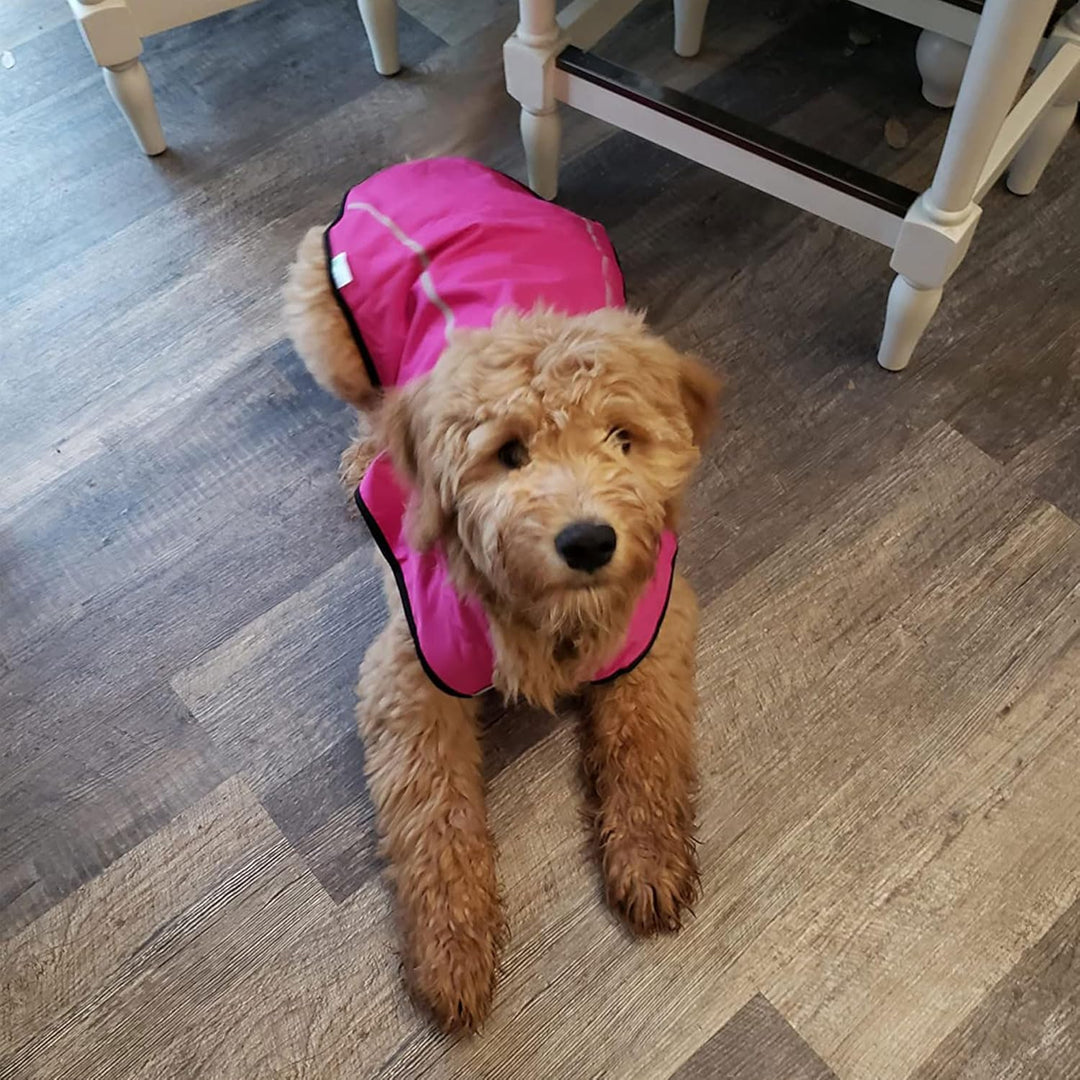 Mile High Life Hunderegenmantel Einstellbare wasserdichte Haustierkleidung Leichte Regenjacke mit re