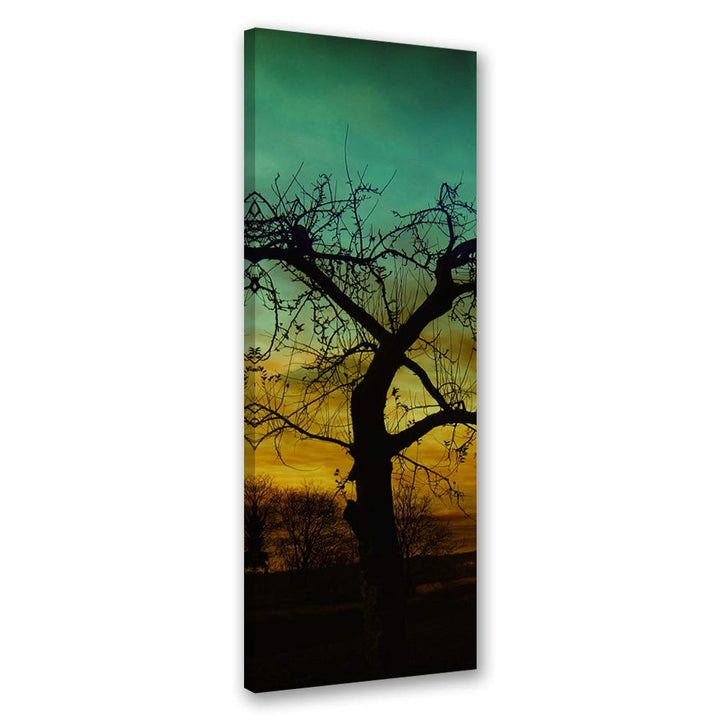 Feeby Leinwand Bilder - Natur - Wald - 50x150 cm- Deko Wohnzimmer - Wandbilder Schlafzimmer - Deko A