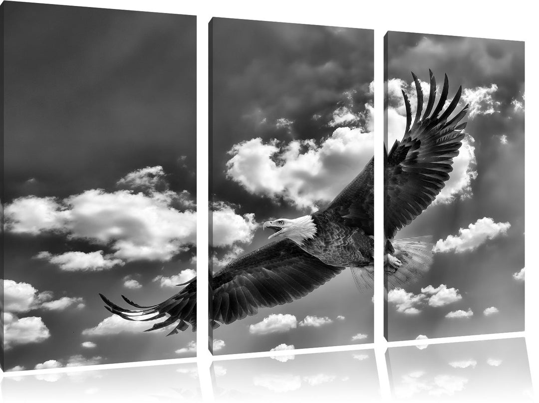 Pixxprint Adler fliegt über Berge als Leinwandbild/Grösse: 3 Teilig (120x80) cm/Wandbild/Kunstdruck/