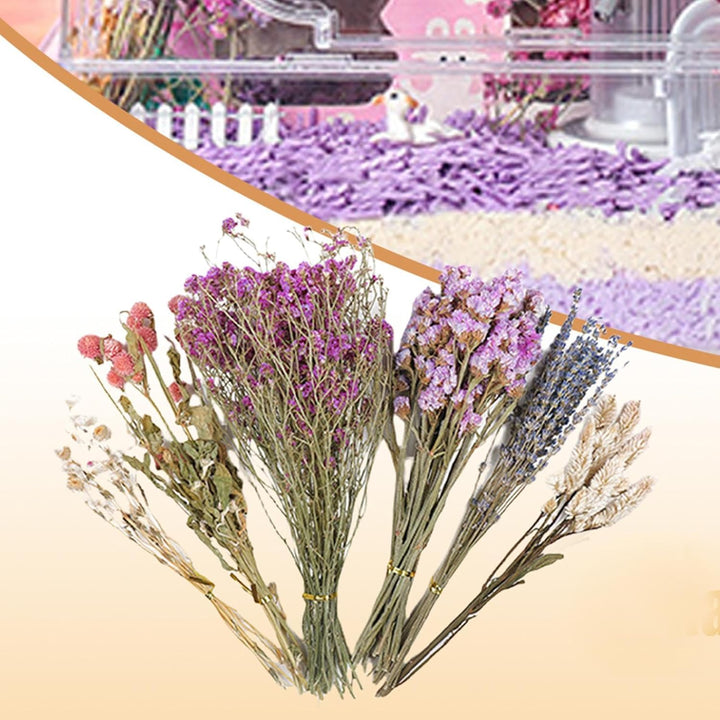 Trockenblumen-Bettwäsche für Hamster, natürliche Hamster-Bettwäsche, Kleintierblumen, Lebensraum-, L