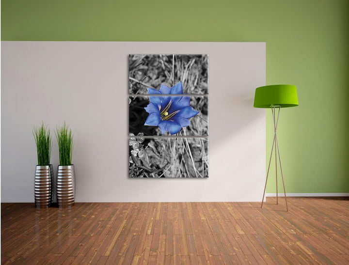 Pixxprint Süsse Blume als Leinwandbild/Grösse: 3 Teilig (120x80) / Wandbild/Kunstdruck/fertig bespan