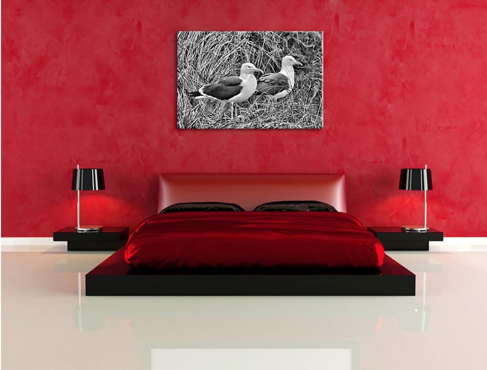 Pixxprint Monocrome, Zwei Möwen im hohen Gras, Format: 100x70 auf Leinwand, 100x70
