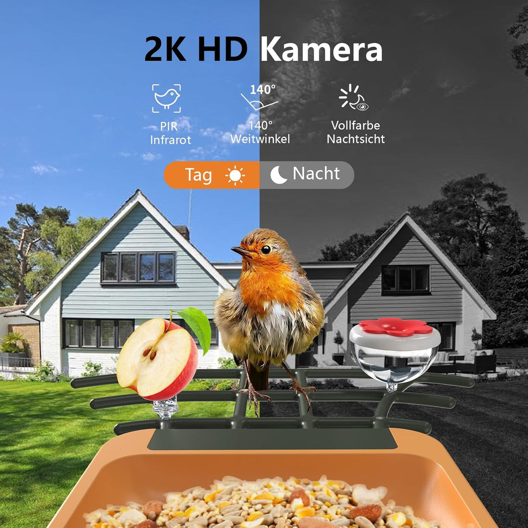 Vogelfutterhaus mit Kamera 2K HD Vollfarbe Nachtsicht KI Vogelerkennung Sofortiger Benachrichtigung