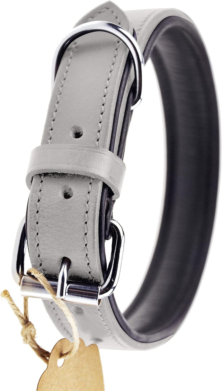 Schnüffelfreunde Halsband für Hunde aus Leder, Hundehalsband für den grossen, mittleren und kleinen