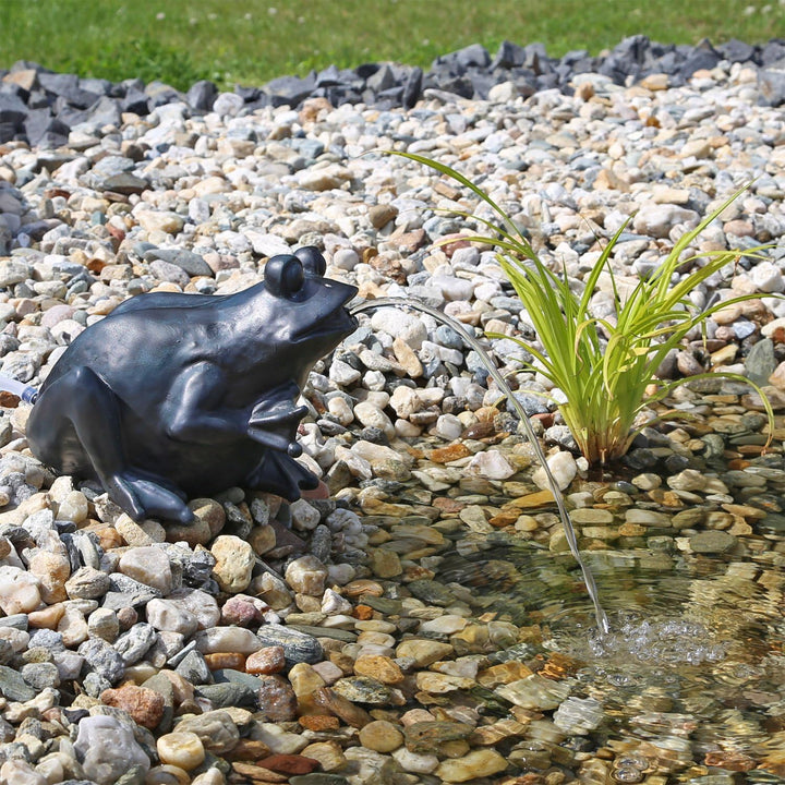 CLGarden Frosch Wasserspeier Set NSP9E mit strombetriebener Pumpe Springbrunnen für Gartenteich Wass