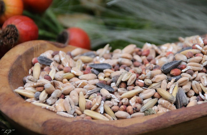 Vier-Jahreszeiten-Futter 25 kg Anhaltiner Vogelfutter