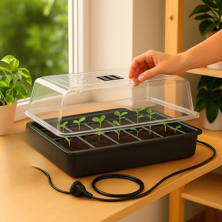Weedness Gewächshaus Grow beheizt 57 x 38 x 22 cm - Grow Anbau Indoor &amp; Outdoor Tomaten Anzucht Mini