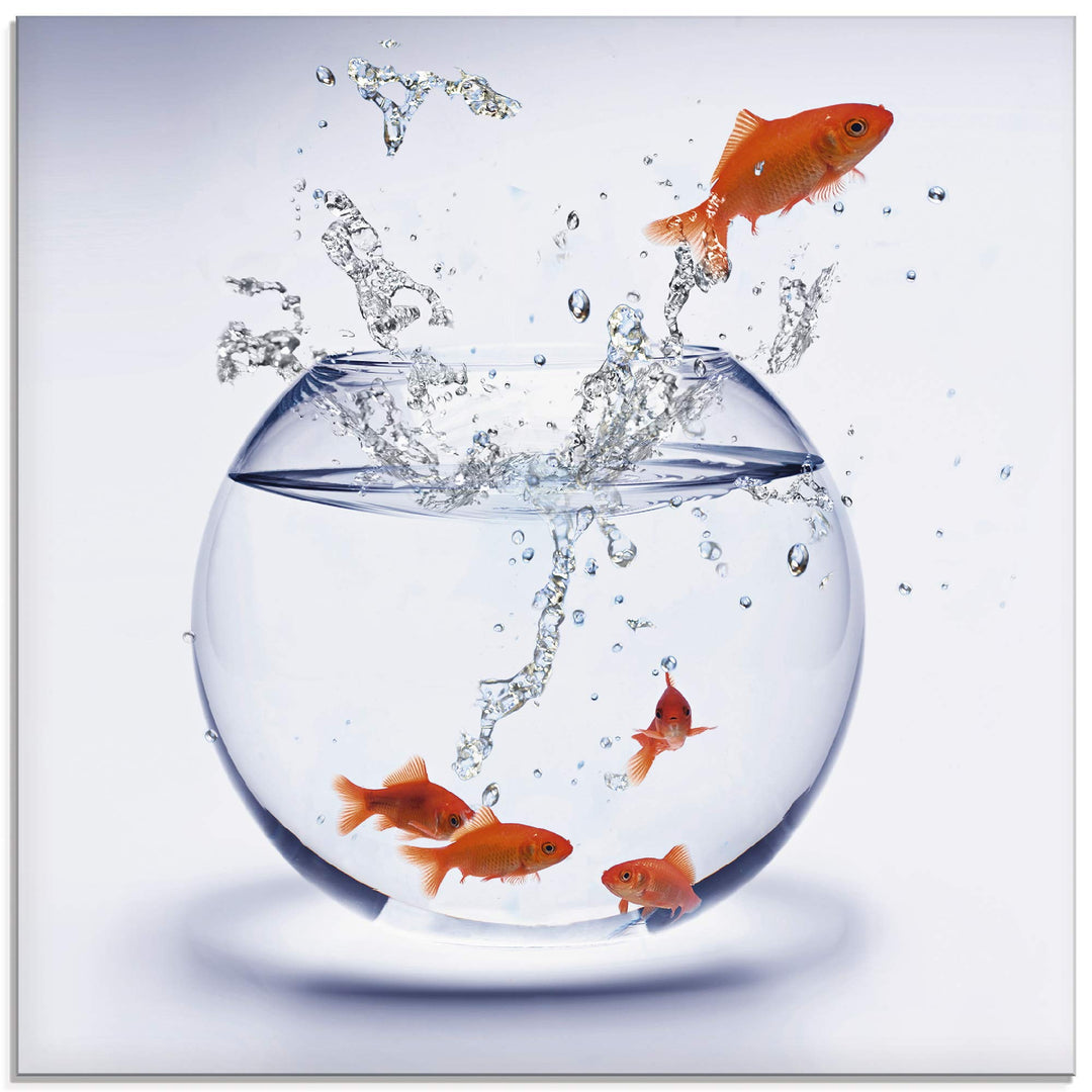 ARTland Glasbilder Wandbild Glas Bild einteilig 50x50 cm Quadratisch Tiere Fische Goldfisch Aquarium