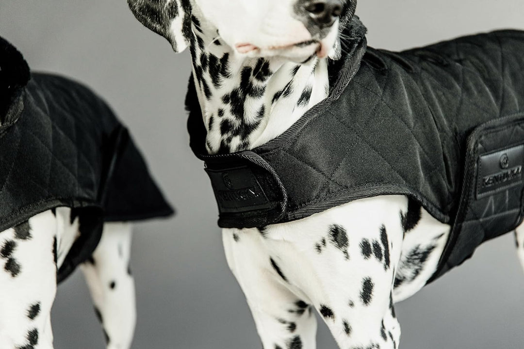 Kentucky Dogwear Hundemantel 160g, Grösse:S/M, Farbe:schwarz schwarz S/M, schwarz S/M