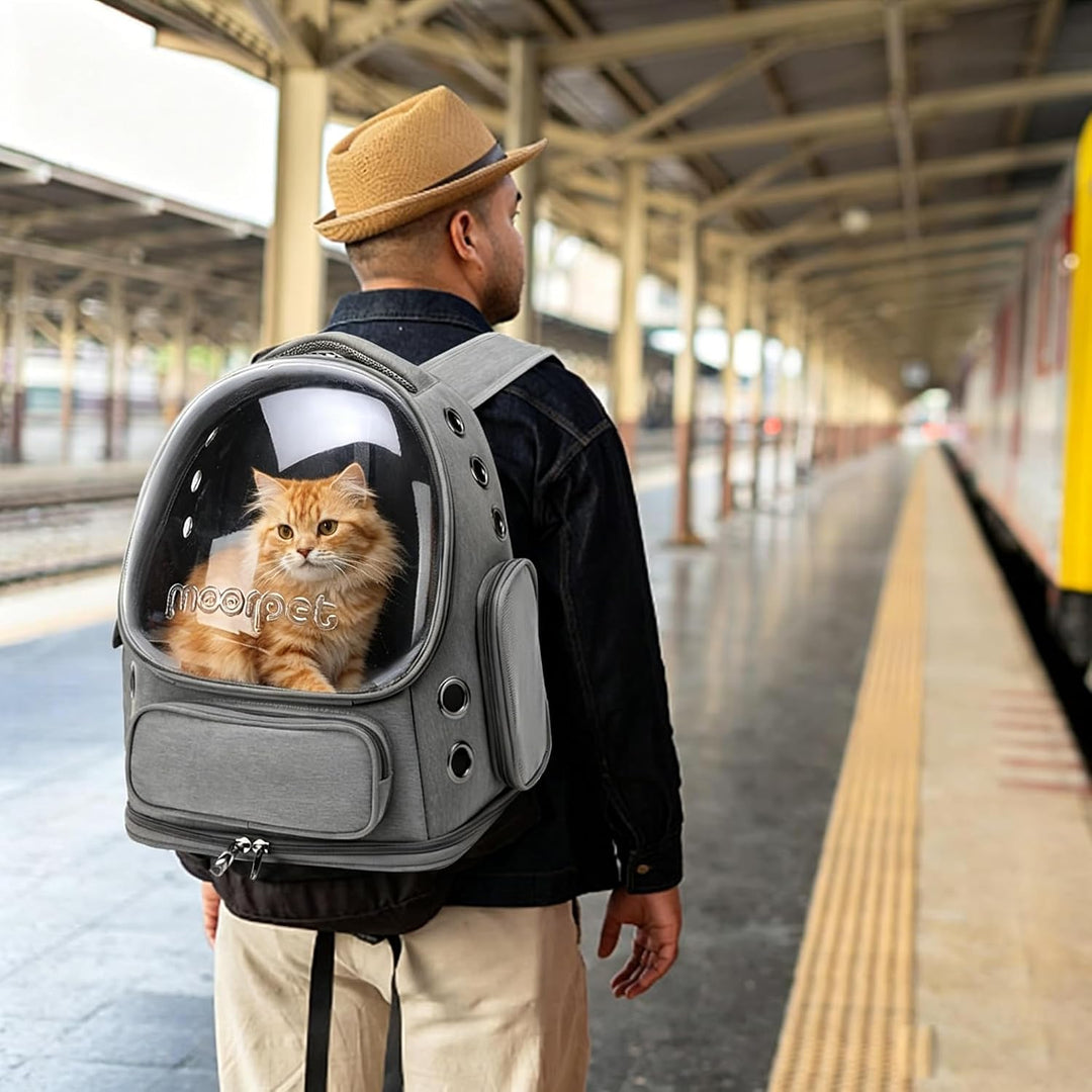 PETCUTE Haustier Rucksack,Tragbar Raumkapsel Hunde Katzen Rucksack mit Herausnehmbarer Matte,Atmungs