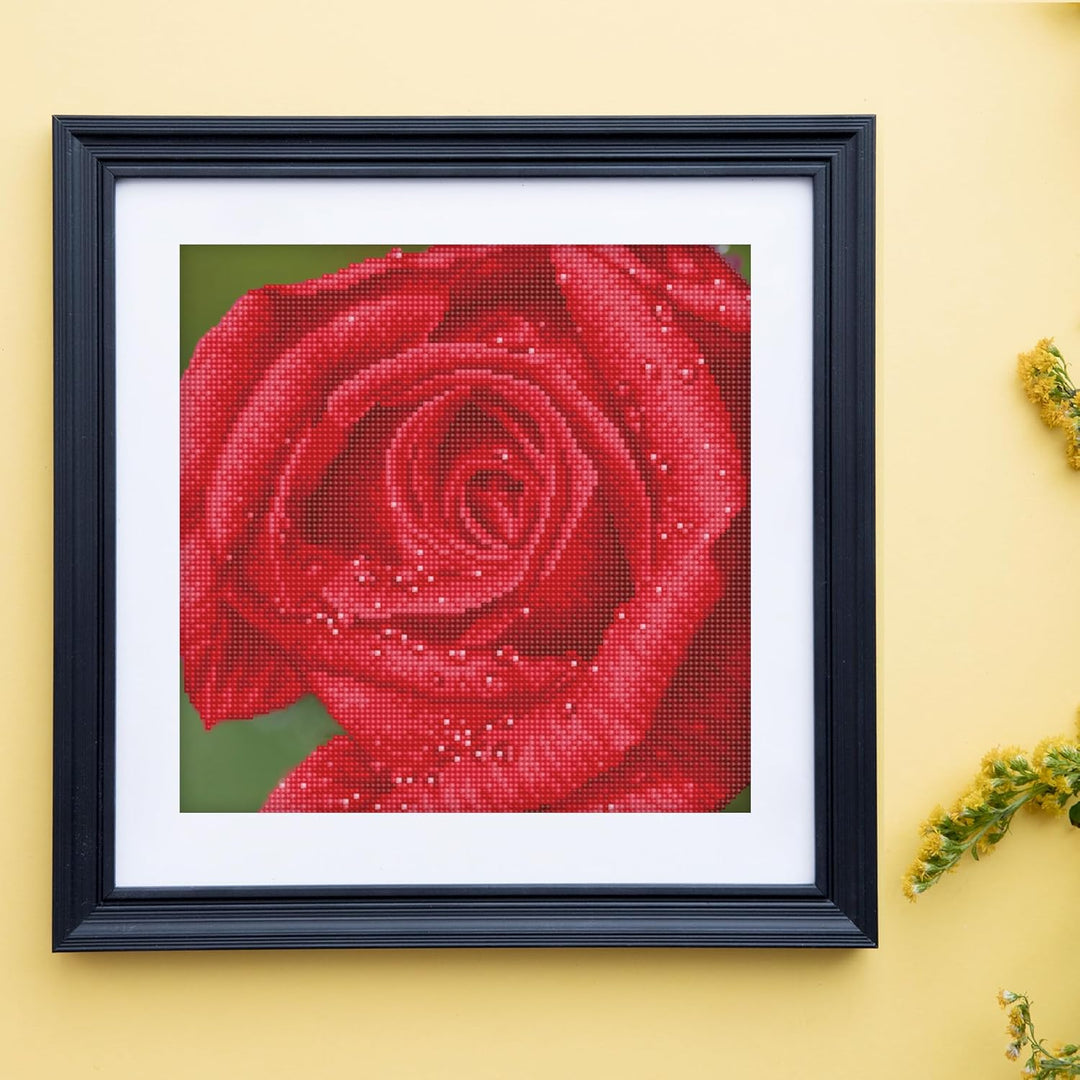 DIAMOND DOTZ DD5.039 - Original 5D Diamond Painting Set Rose, Kreativset mit 10.449 Diamant Mosaikst
