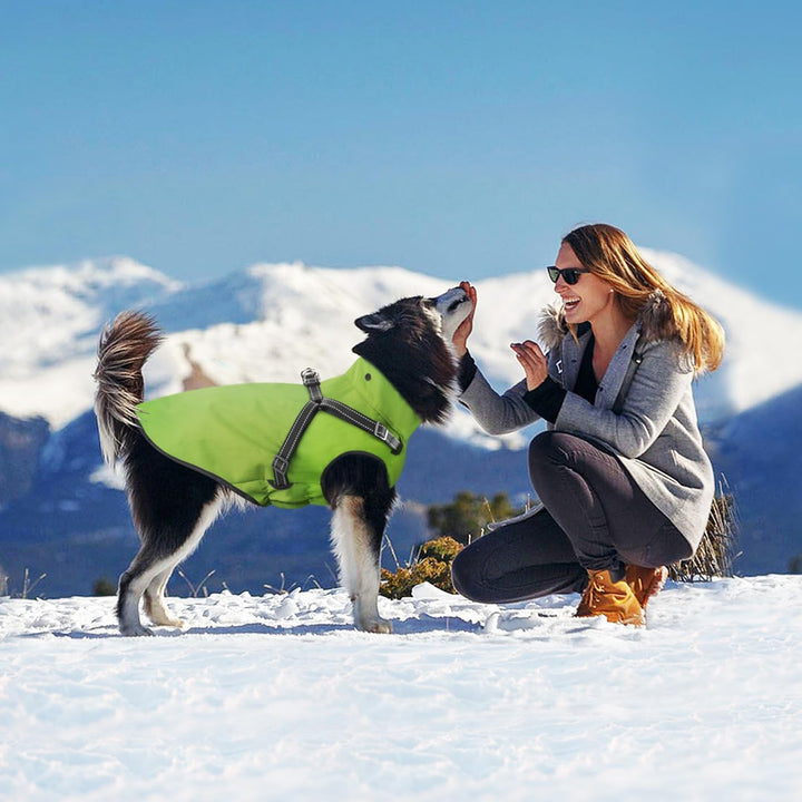 Hunde Regenmantel Wasserdichter Hunde Kapuzenpullover Reflektierender Hunde Regenmantel mit Kapuze V