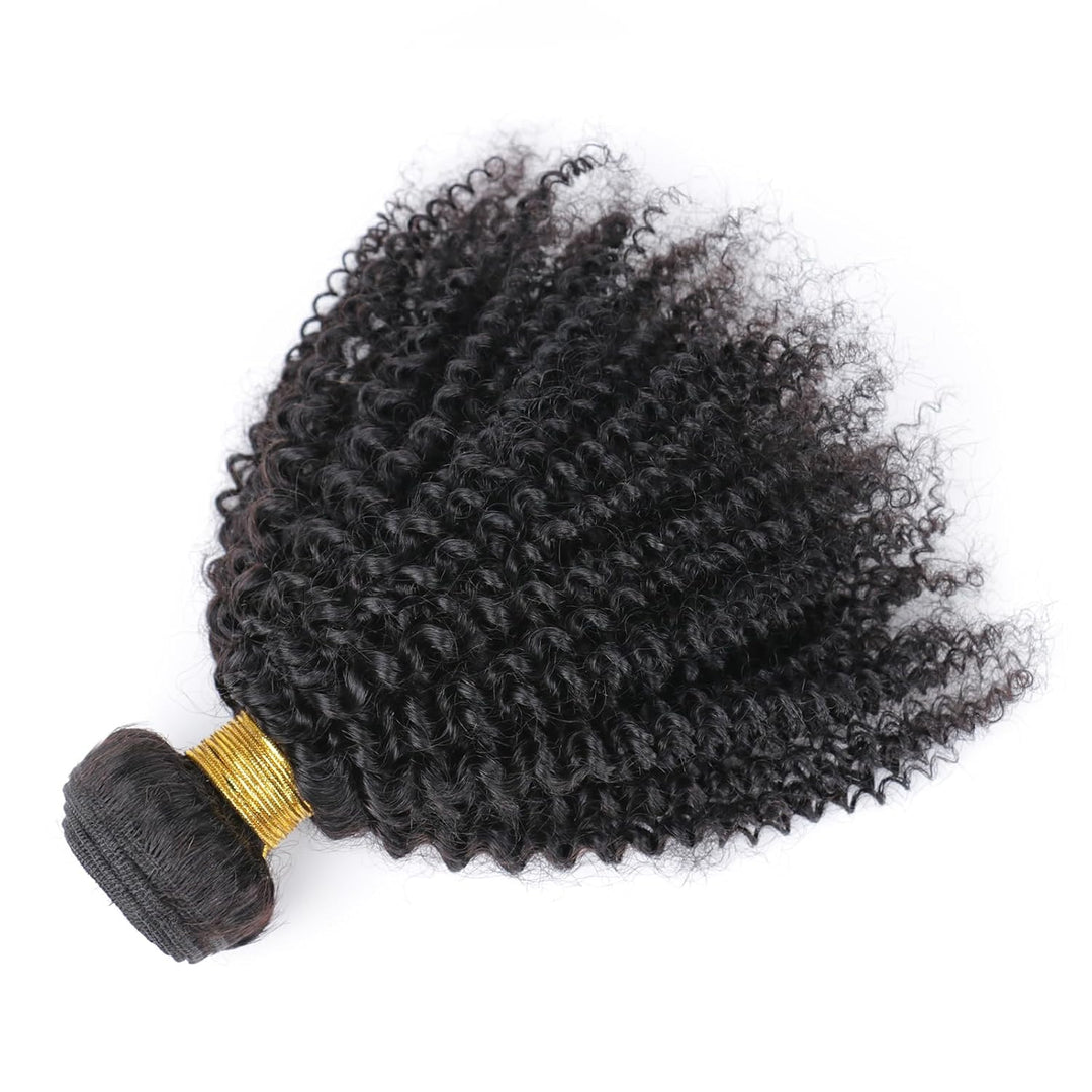 Brazilian Afro Kinky Curly Single Bundle 4B 4C Mongolian Virgin Hair Afro Kinky Bundle Human Hair We