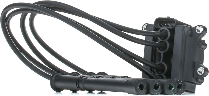 Delphi CE20018-12B1 Zndspule