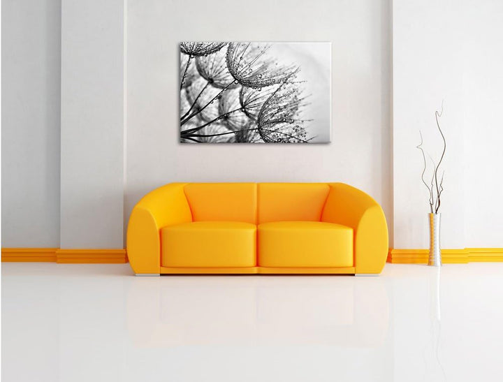 Pixxprint Monocrome, Tropfen bedeckte Pusteblumen, Format: 100x70 auf Leinwand, 100x70