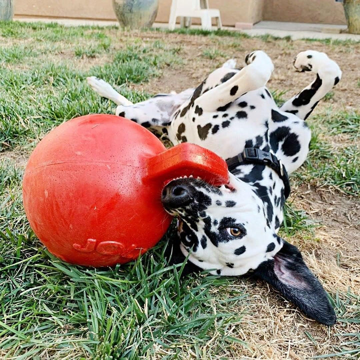 Jolly Pets 510 RD Hundespielzeug - Tug-n-Toss, 25 cm, rot Red 25 cm, Red 25 cm