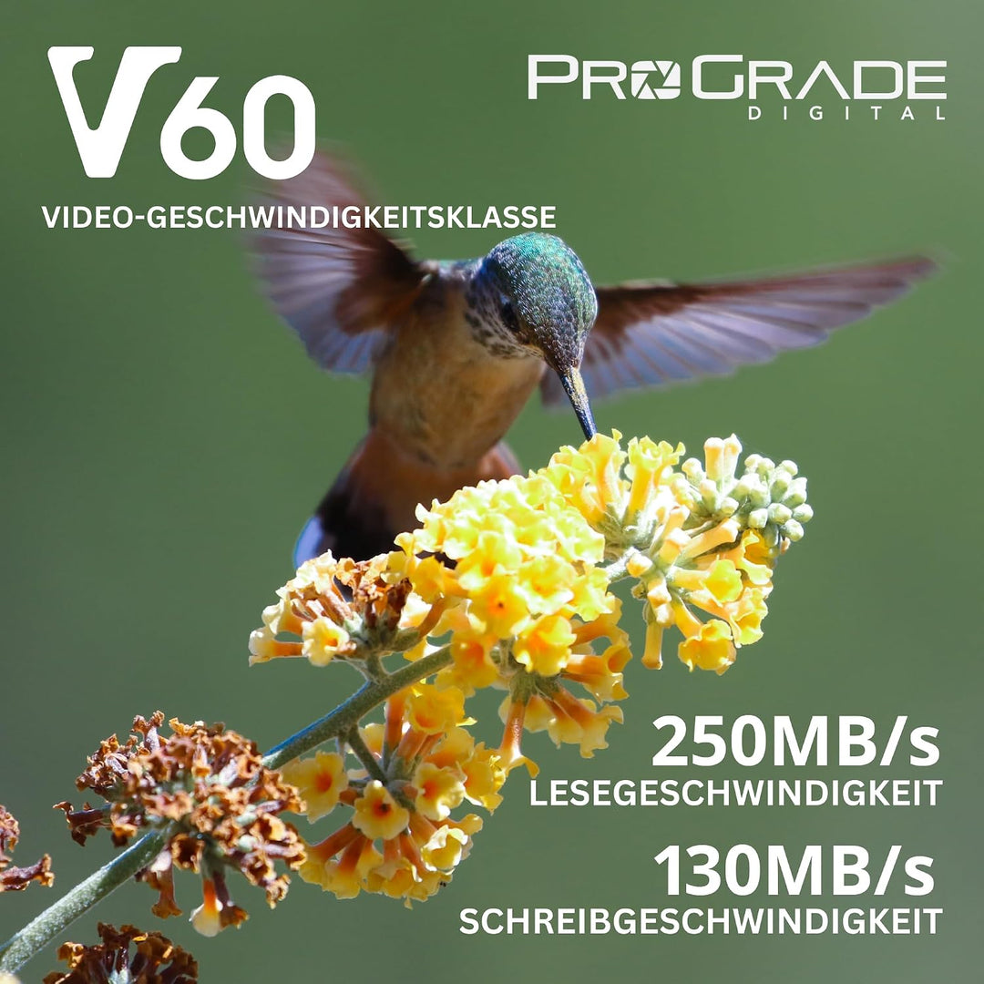 SD UHS-II 256 GB Karte V60 - Schreibgeschwindigkeit bis zu 130MB/s und Lesegeschwindigkeit von 250MB