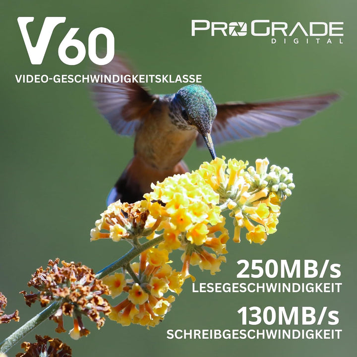 SD UHS-II 256 GB Karte V60 - Schreibgeschwindigkeit bis zu 130MB/s und Lesegeschwindigkeit von 250MB