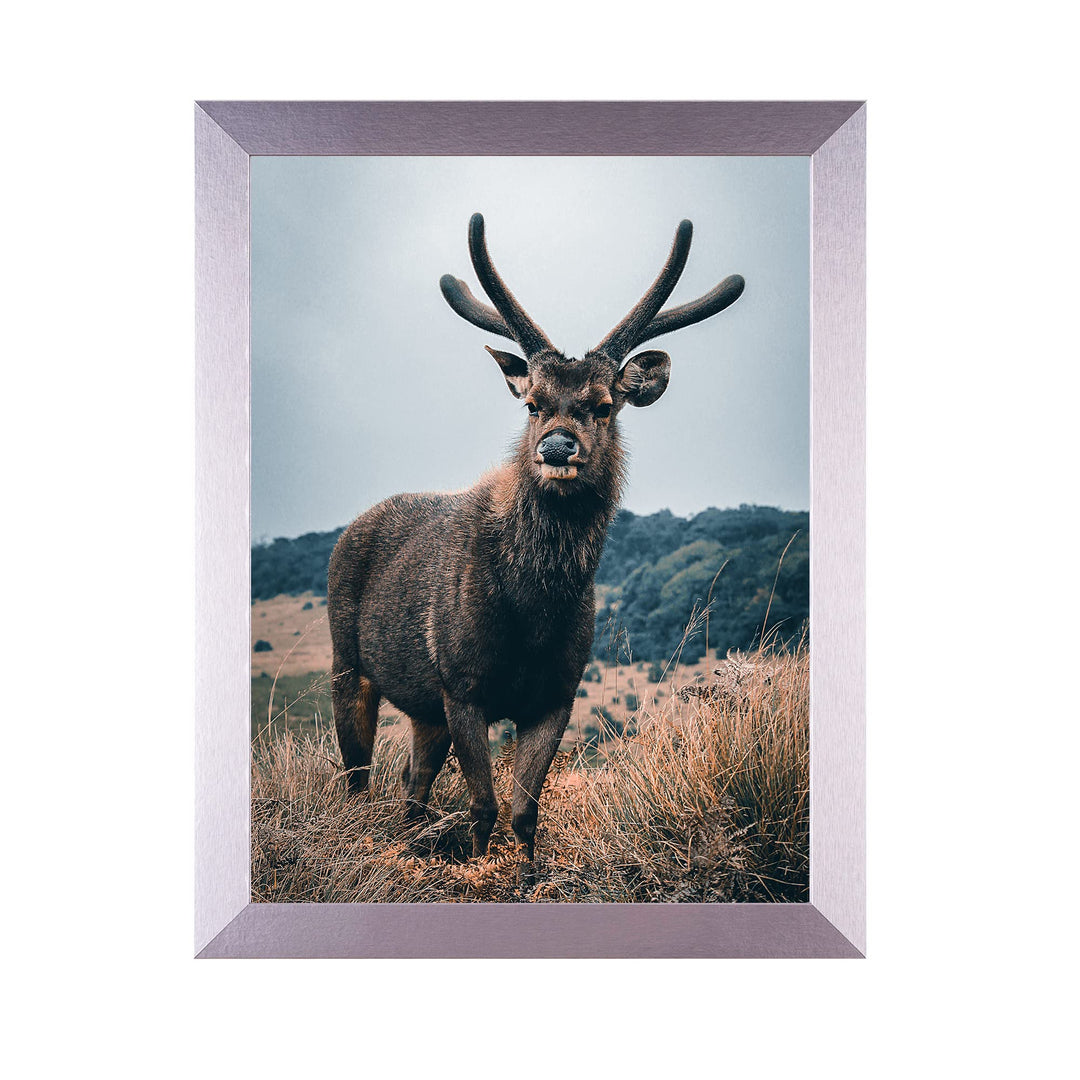 Rahmendesign24 Posterrahmen Milano 60x80 Silber (hochglanz) Fotorahmen, Wechselrahmen, Bilderrahmen,