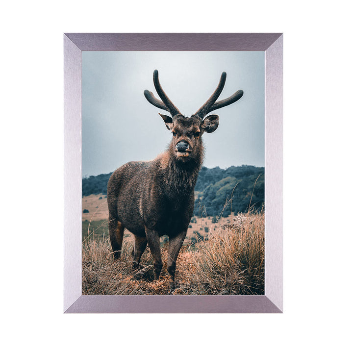 Rahmendesign24 Posterrahmen Milano 60x80 Silber (hochglanz) Fotorahmen, Wechselrahmen, Bilderrahmen,
