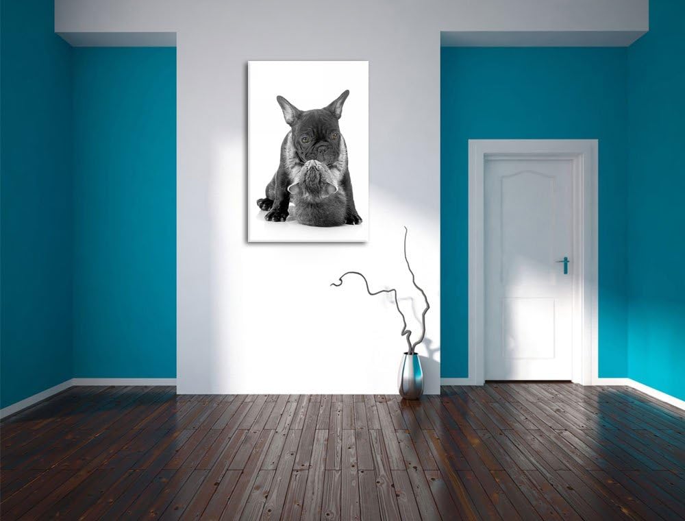 Katze hängt an Mops schwarz/weiss Format: 100x70 auf Leinwand, XXL riesige Bilder fertig gerahmt mit