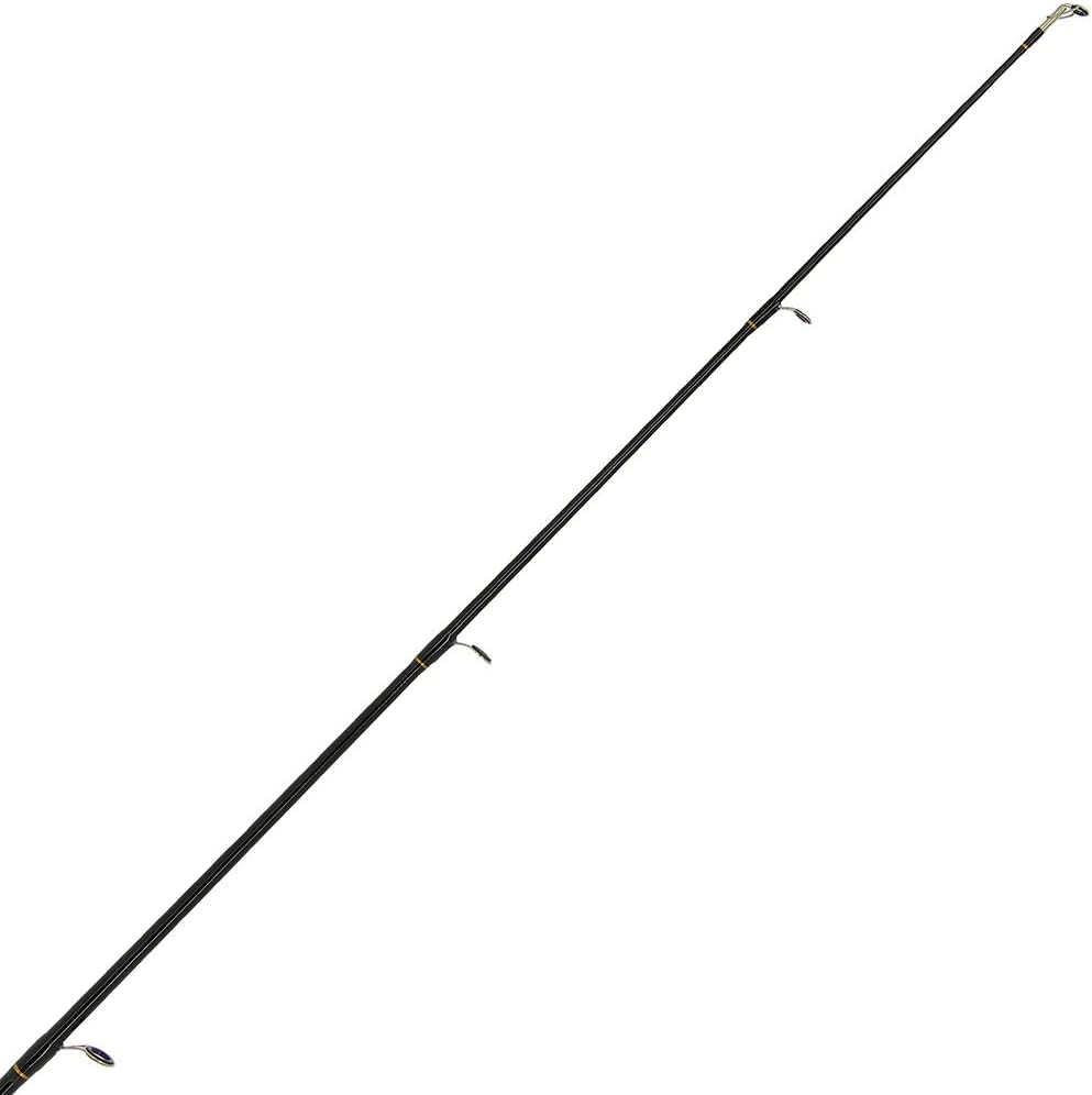 2 x Carp Stalker Rod Master Fiberglas 2,4 m 1,1 kg 2 Stück | 2 x Rolle 2BB 4,5 kg Schnur Graphitspul