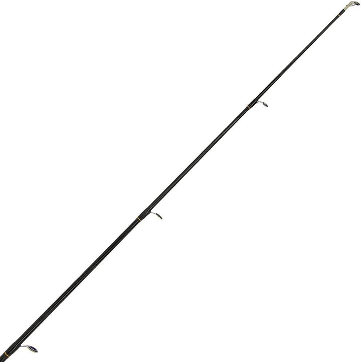 2 x Carp Stalker Rod Master Fiberglas 2,4 m 1,1 kg 2 Stück | 2 x Rolle 2BB 4,5 kg Schnur Graphitspul
