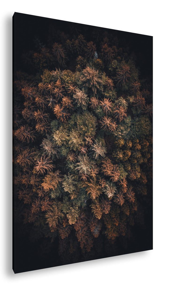 deyoli sagenhafter Wald von oben Format: 100x70 cm als Leinwandbild, Motiv fertig gerahmt auf Echtho
