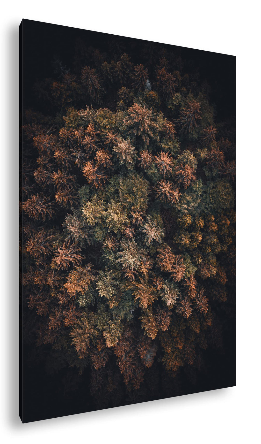 deyoli sagenhafter Wald von oben Format: 120x80 cm als Leinwandbild, Motiv fertig gerahmt auf Echtho