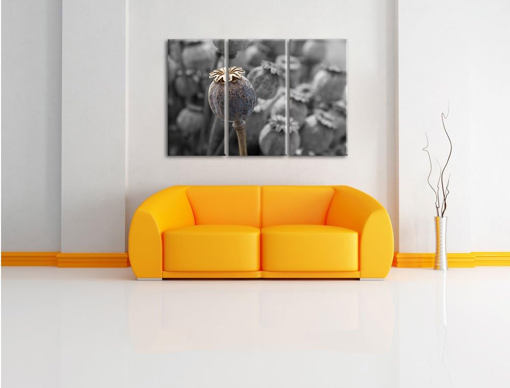 Pixxprint Mohnkapsel der Mohnblume B&W Detail 3-Teiler Leinwandbild 120x80 Bild auf Leinwand