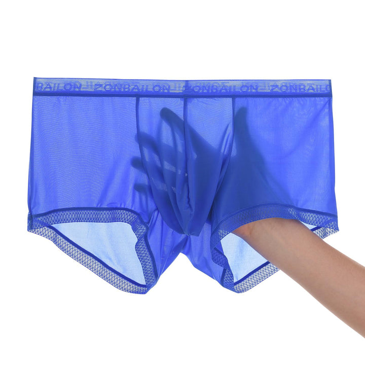 Herren Slips Transparent Sexy Unterwäsche mit Beutelverstärkung mehr Attraktivität und Komfort Blau