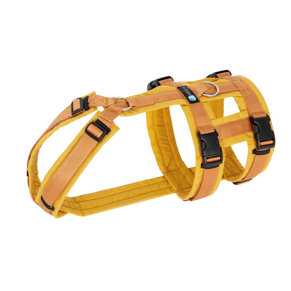Anny-X Brustgeschirr Safety Fun Goldglöckchen | Ausbruchsicheres Hundegeschirr mit Taillengurt | Grö