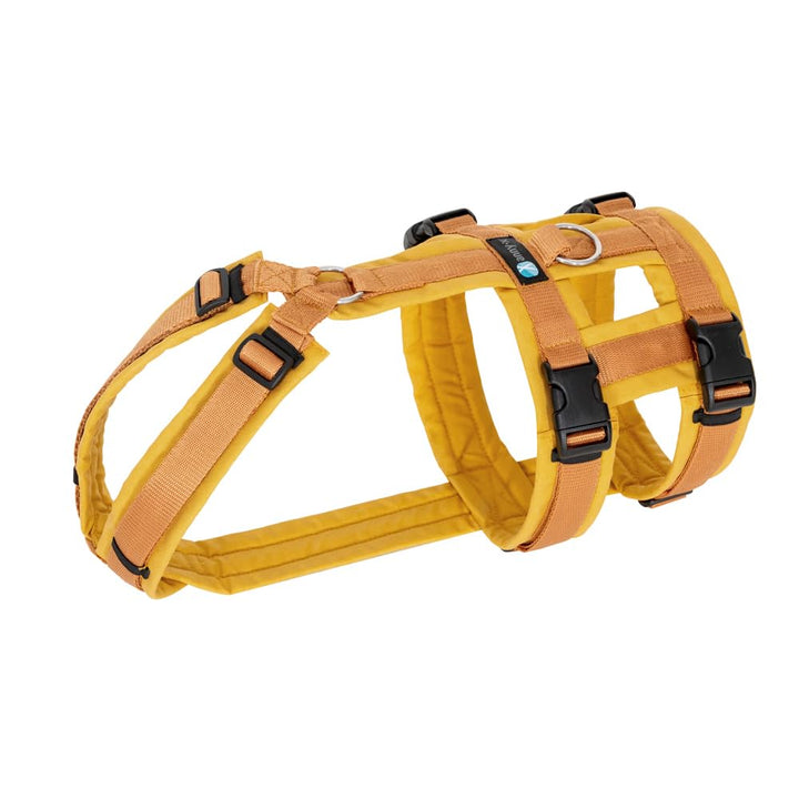 Anny-X Brustgeschirr Safety Fun Goldglöckchen | Ausbruchsicheres Hundegeschirr mit Taillengurt | Grö