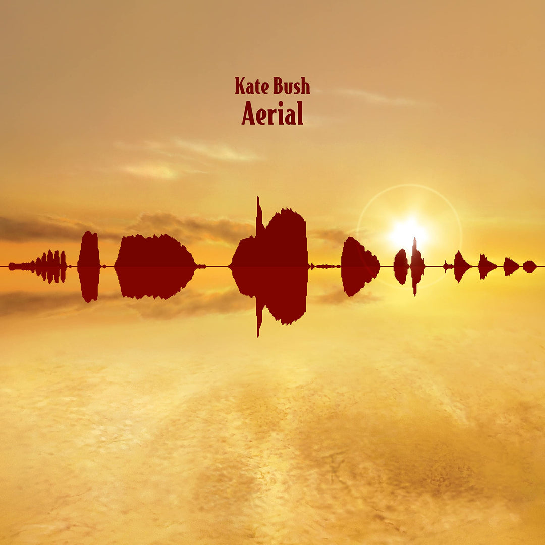 Aerial (2018 Remaster) [Vinyl LP], Vinyl