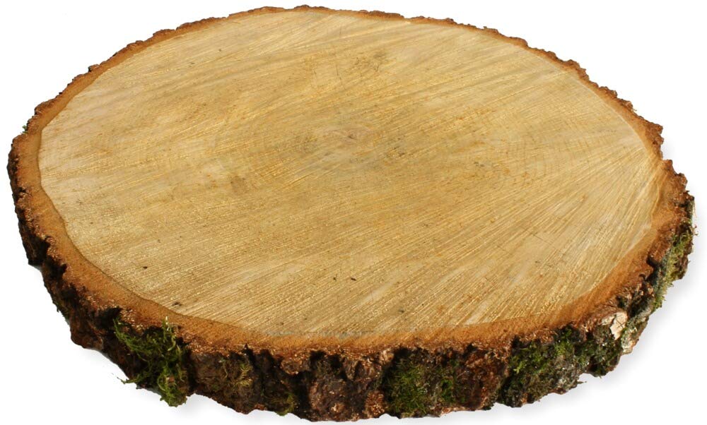 Grosse Holzscheibe zum Basteln oder Dekorieren - 1 Stück naturbelassene Baumscheibe aus Birkenholz m