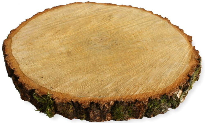 Grosse Holzscheibe zum Basteln oder Dekorieren - 1 Stück naturbelassene Baumscheibe aus Birkenholz m