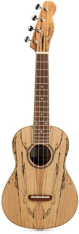 Fender Zuma Exotic Concert Ukulele, Walnut Fingerboard in Spalted Maple
