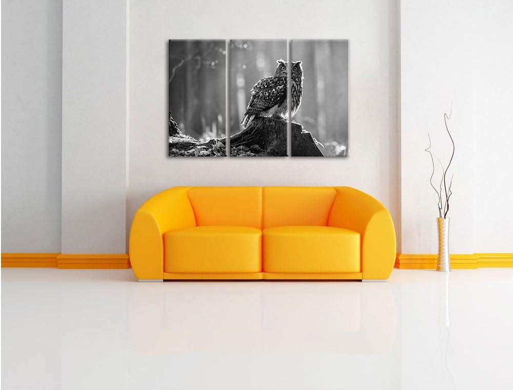 Pixxprint Eule auf dem Baumstamm als Leinwandbild/Grösse: 3 Teilig (120x80 cm) cm/Wandbild/Kunstdruc