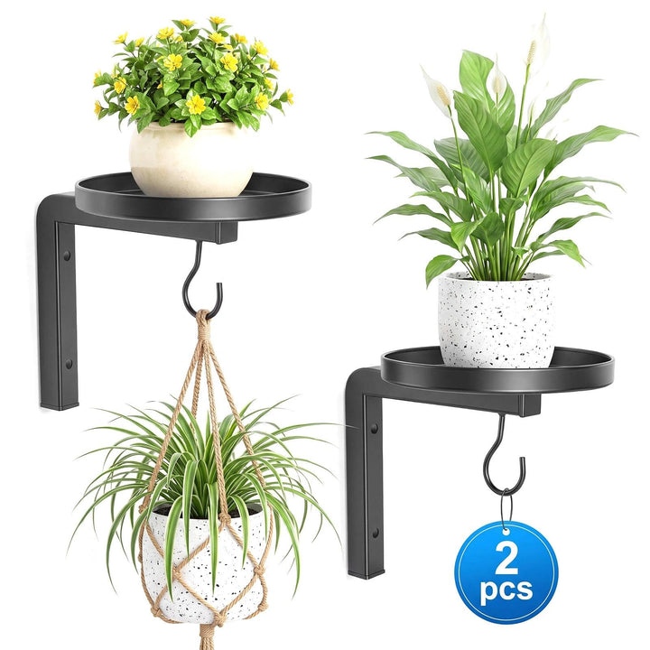 2 Stück Pflanzenhalter Wand Blumenhalter Metall mit Haken Pflanzen Wandhalterung Blumentopf Wandbeha