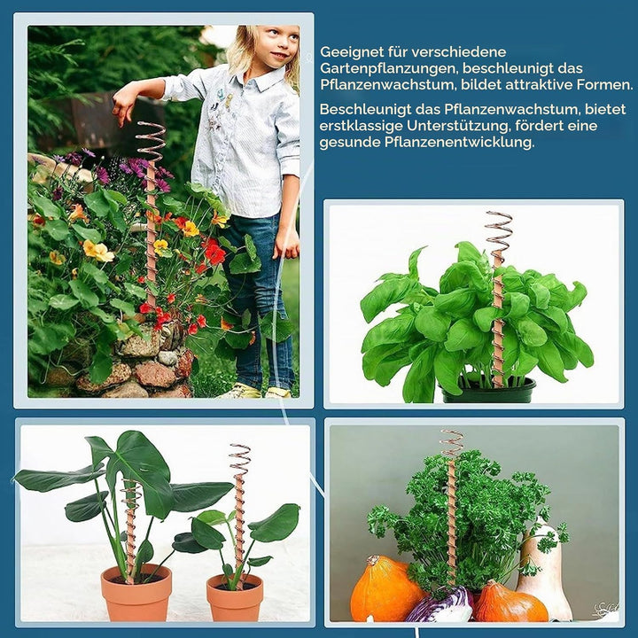 Elektrokultur Kupfer Gartenantenne, 6er-Pack Elektroponische Pflanzenstäbe Kupferdrahtantenne Garten