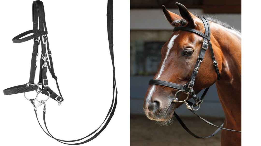 Harry's Horse Hoofdstel/halster, Farbe:schwarz, Grösse:x-Full XL schwarz, XL schwarz