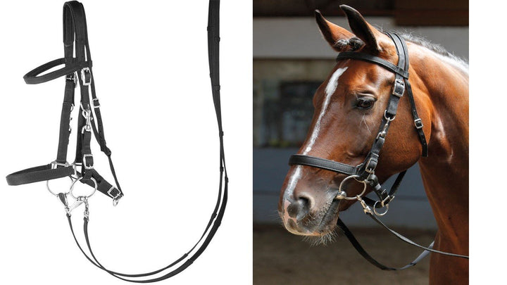 Harry's Horse Hoofdstel/halster, Farbe:schwarz, Grösse:x-Full XL schwarz, XL schwarz