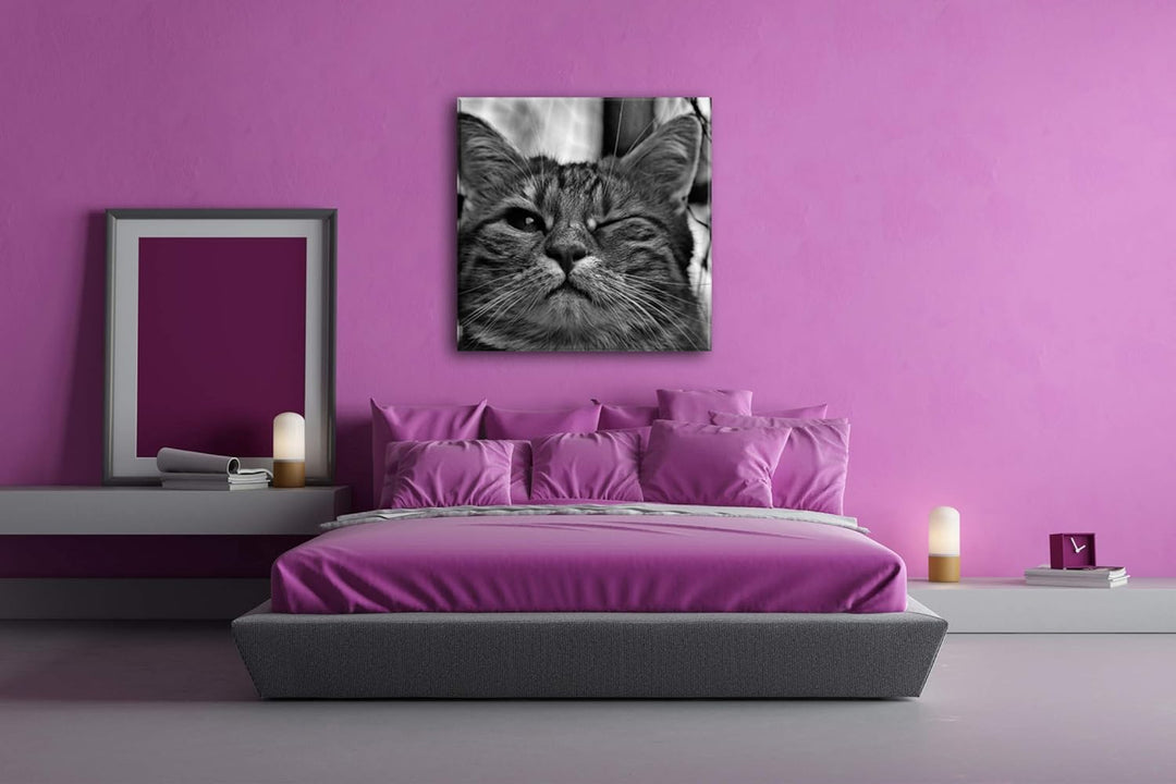 deyoli zwinkernde Katze Format: 70x70 Effekt: Schwarz&Weiss als Leinwandbild, Motiv auf Echtholzrahm