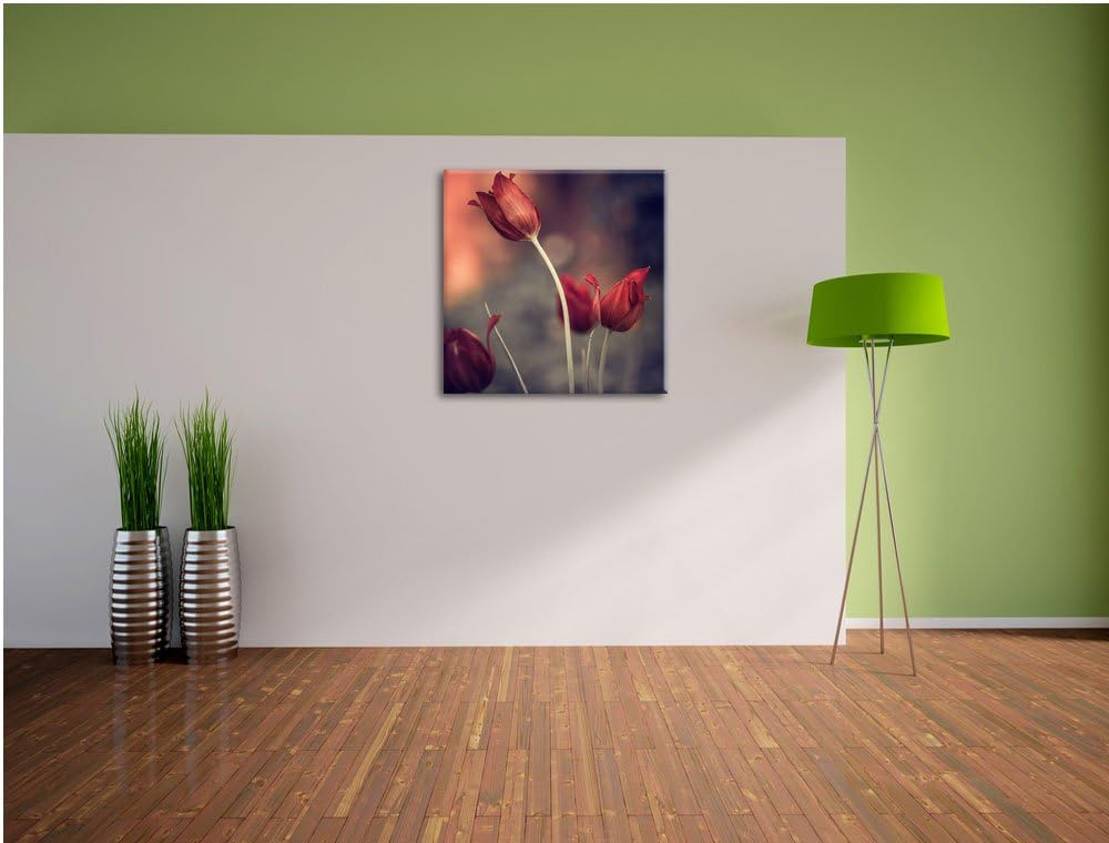Edle Tulpen im Abendlicht, Format: 70x70 auf Leinwand, XXL riesige Bilder fertig gerahmt mit Keilrah