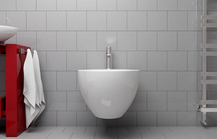 Fischer - Befestigungsbügel für Sanitäranlagen Fischer LC Plus WC Bidet - FIS00501026 Geformte Quers