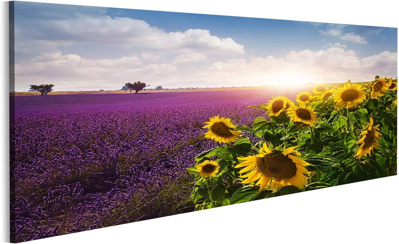 Bild Bilder auf Leinwand Lavendel und Sonnenblumen Felder, Provence Wandbild, Poster, Leinwandbild N