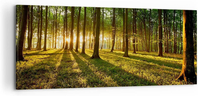 Wandbilder Dekoration Wohnzimmer Wald grün Sonnenstrahlen Natur Panorama Bilder auf Leinwand 120x50c