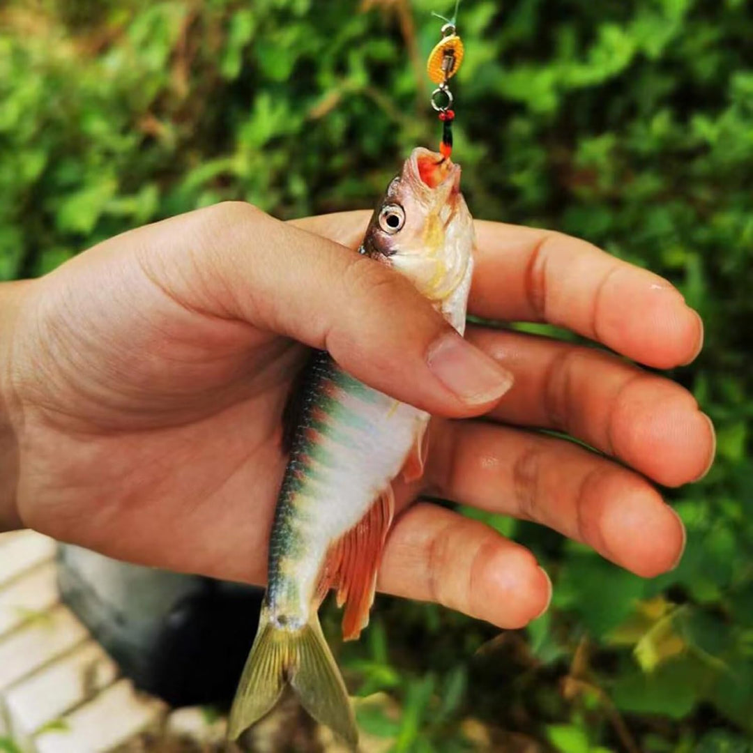 Dovesun Fliegenfischen Köder Angelköder Fliegenfischen Fliegen zum Nassfischen Fliegen zum Fischen K