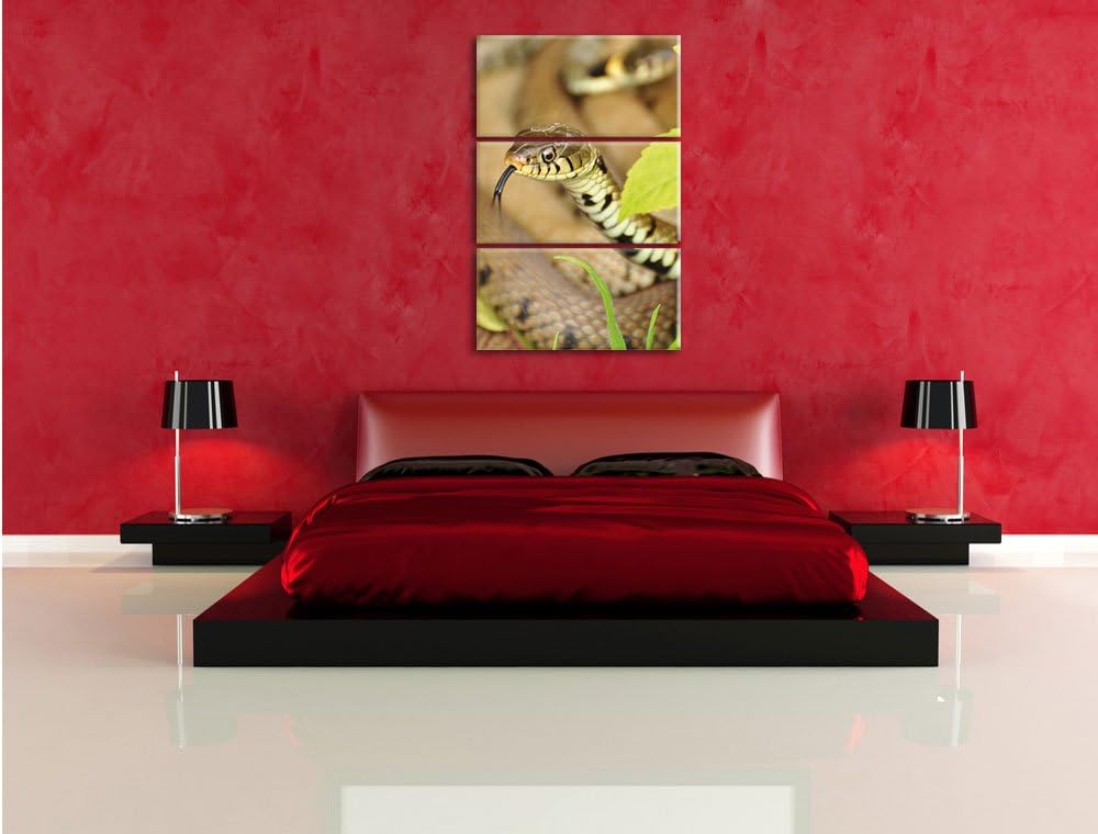 Pixxprint beeindruckende Schlange 3-Teiler Leinwandbild 120x80 Bild auf Leinwand
