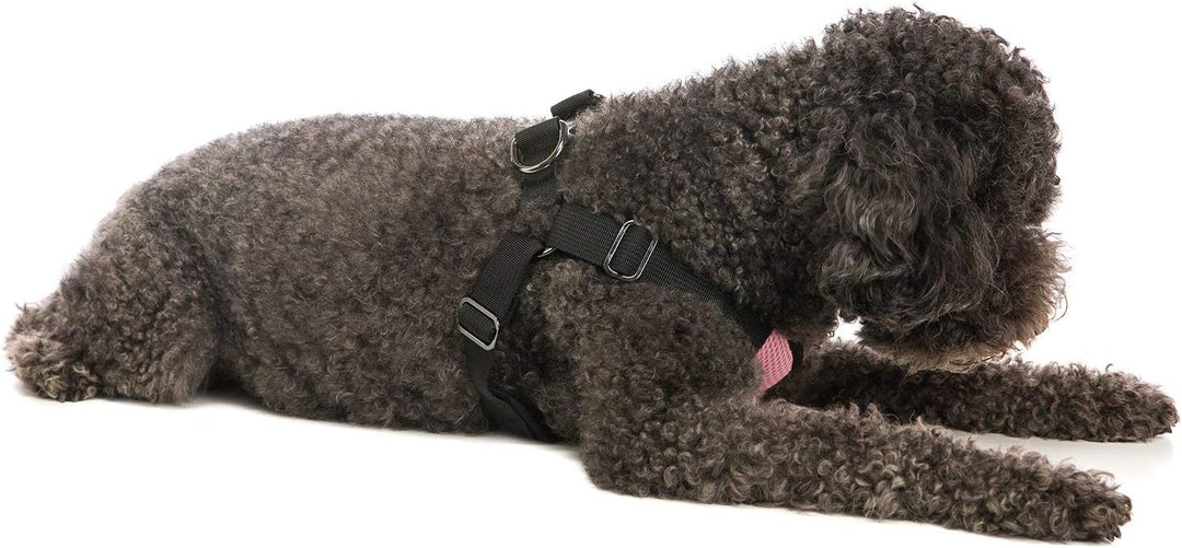 Gooby - Comfort X Step-In-Hundegeschirr, Würgefrei, mit Mikro-Wildlederbesatz und patentiertem X-Rah